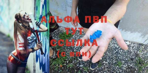 a pvp Бородино