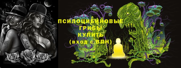 мяу мяу мука Аркадак