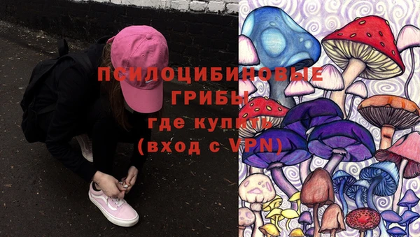 молекула духа Армянск