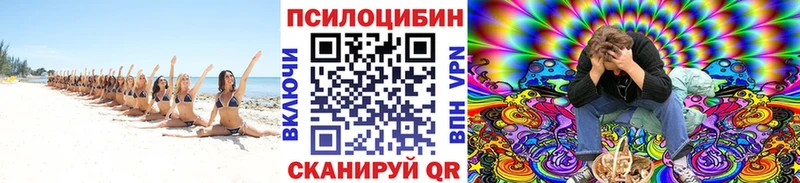Псилоцибиновые грибы GOLDEN TEACHER  Таруса 